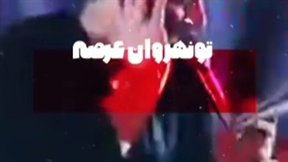 وقتی مولا میرفت تو نهروان عرصه...