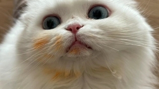 آپدیت امروز نفس بی نام(پارک شین هه) FULL HD کمیاب کامل(وای ملوسک) اختصاصی کانال تنها منبع اصلی