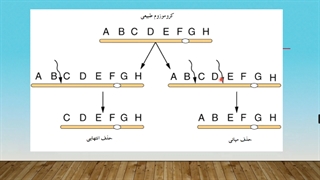 تغییر در ساختار کروموزوم