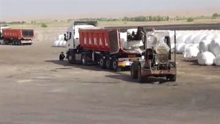 پلاستیک سیلاژ ذرت