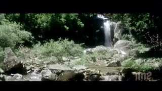 سینمایی - شوالیه شائولین