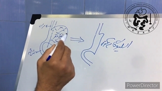 کاهش هورمون گرلین (اشتها) بدنبال اسلیو معده