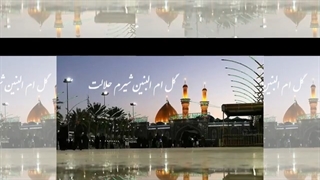 گل ام البنین شیرم حلالت