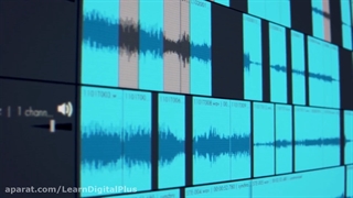 پلاگین PluralEyes4 (ادیوس پریمیر)