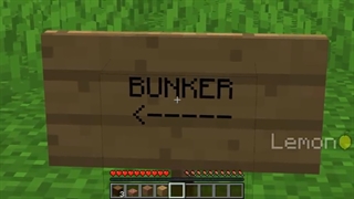 در کدام یک از اینها بهتر است در ماینکرافت