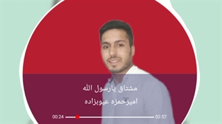 امیرحمزه عیوبزاده