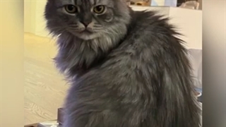 ابدیت پارک شین هه ساعت ۶:١۵ (۴۵ دقیقه پیش )