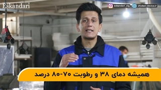 علت گران بودن دستگاه های جوجه کشی اسکندری چیست؟