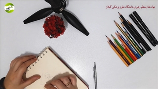 دانلود/کلیپ روز مادر مبارک