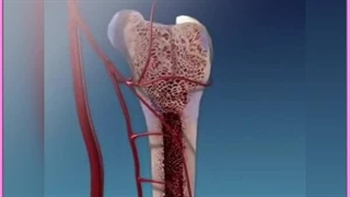 ۷ کمبود رایج ویتامین ها و مواد معدنی و نشانه های مهم هرکدام