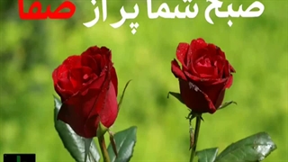 صبح شما پر از صفا