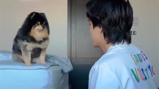 ددی ته و بیبی تان:)