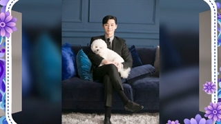 پارک سئو جون