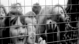 شناخت قدرت نرم در رسانه‌ها