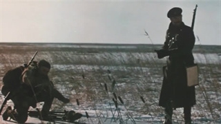 سینمایی - درسو