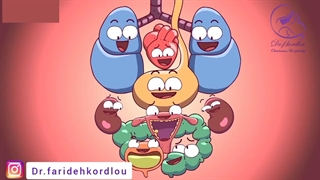 تو شکمتون چه خبره؟