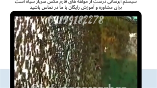 فارم مگس سرباز سیاه ۰۹۱۹۴۱۸۲۲۷۸