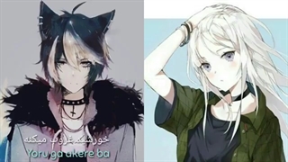 سیلام بیفالویید