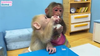 فیلم*Animals Home*قسمت یازدهم