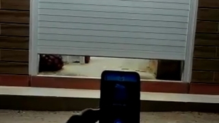 جک برقی موبایلی