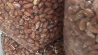 بادام زمینی بوداده(مغز و غلاف شور)