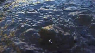 چشمه فصلی شلدان