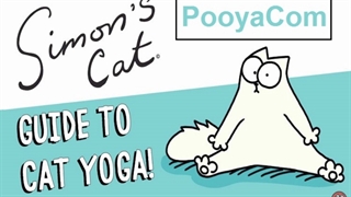 سایمون گربه - 20