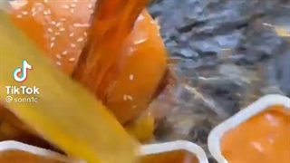 تو روحش لعنت:////