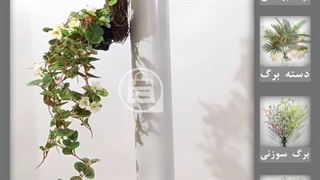 حلقه آویزی شمعدانی سفید