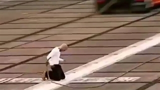 استقامت