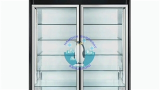 یخچال ایستاده دو درب هامون برودت